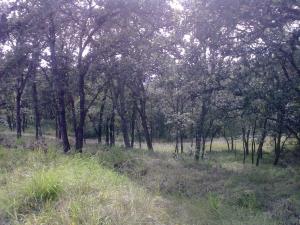 Terreno en venta en Campestre Haras, Amozoc — foto 2 de 4