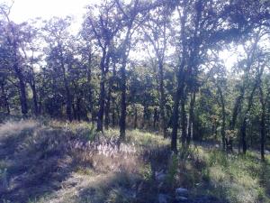Terreno en venta en Campestre Haras, Amozoc — foto 3 de 4