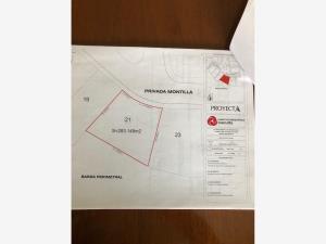 Terreno en venta en Lomas de Angelópolis, San Andrés Cholula — foto 3 de 3