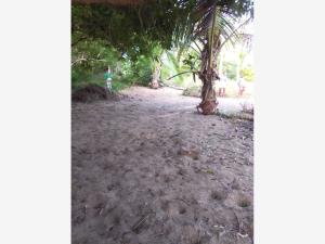 Terreno en venta en Playa Emiliano Zapata, Tuxpan — foto 2 de 5
