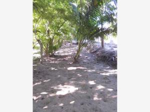Terreno en venta en Playa Emiliano Zapata, Tuxpan — foto 3 de 5