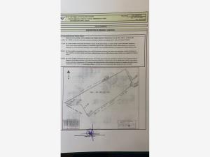 Terreno en venta en Tapalpa, Tapalpa — foto 2 de 5