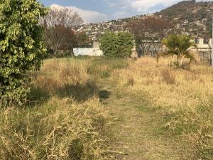 Terreno en venta en Tamoanchan, Jiutepec, Morelos Terreno en venta en Tamoanchan, Jiutepec, Morelos