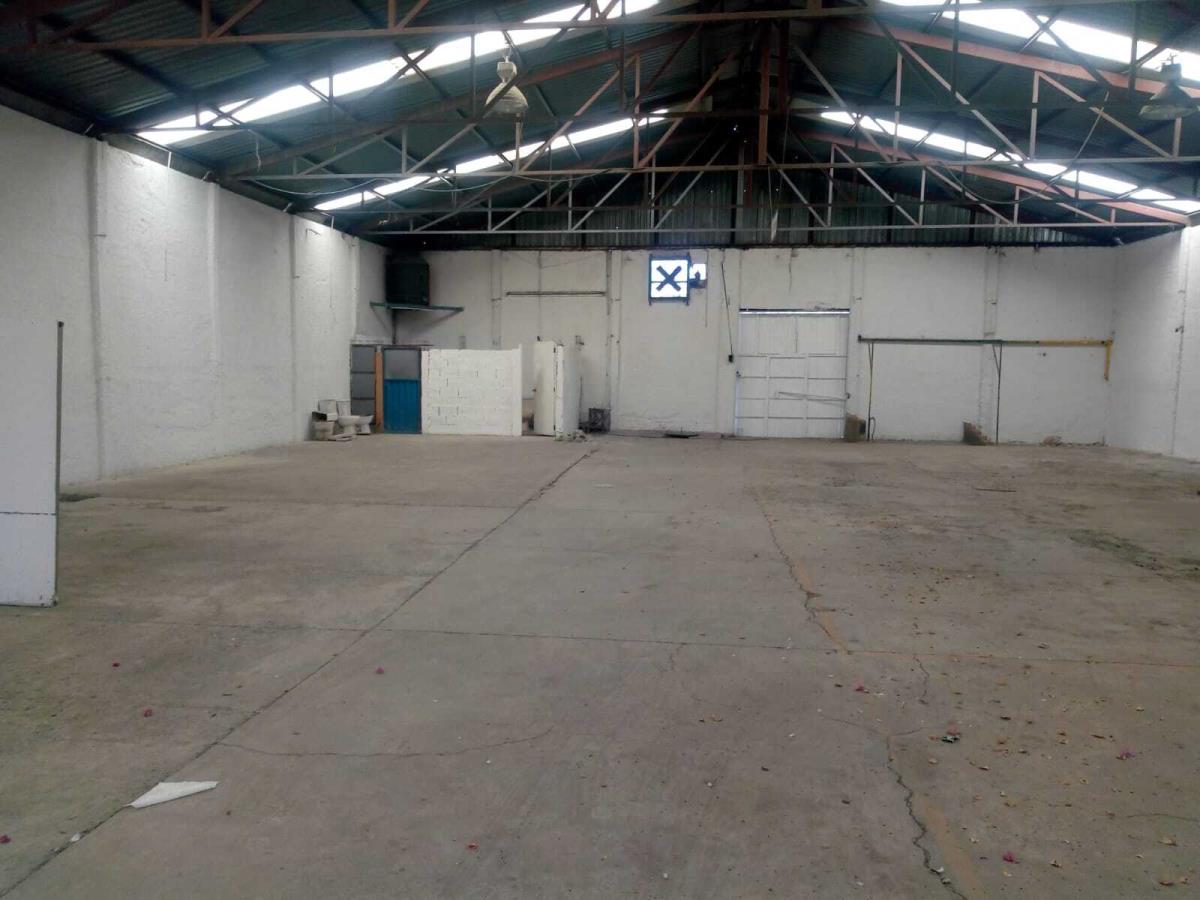 Bodega en renta en El Cantador, Irapuato — foto 1 de 13