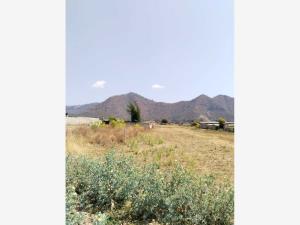 Terreno en venta en San Sebastián, Malinalco — foto 2 de 3