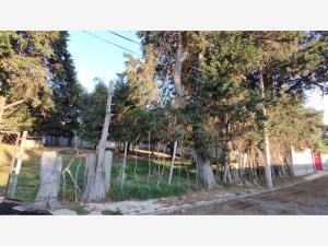 Terreno en venta en Las Delicias, Atlautla — foto 3 de 3