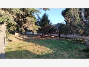 Terreno en venta en Las Delicias, Atlautla, México