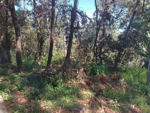 Terreno en venta en Avandaro, Valle de Bravo — foto 2 de 5