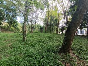 Terreno en venta en Mariano Escobedo, Coatepec — foto 3 de 10