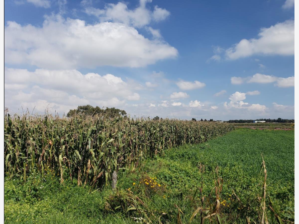 Terreno en venta en San Miguel Totocuitlapilco, Metepec