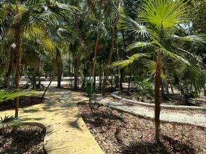 Terreno en venta en Puerto Morelos, Puerto Morelos — foto 3 de 18