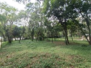 Terreno en venta en Briones, Coatepec — foto 3 de 7