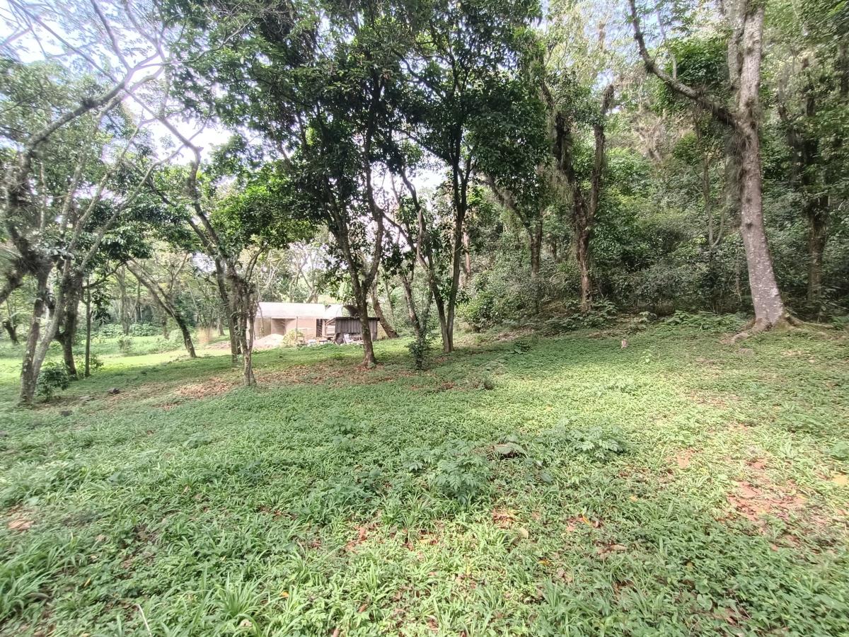 Terreno en venta en Briones, Coatepec — foto 1 de 7