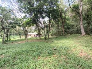 Terreno en venta en Briones, Coatepec — foto 2 de 8