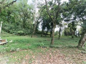 Terreno en venta en Briones, Coatepec — foto 2 de 7
