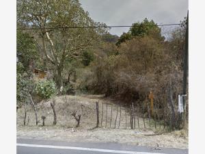 Terreno en venta en San Sebastián, Malinalco — foto 3 de 4