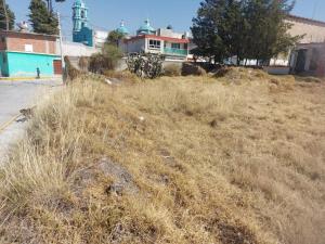 Terreno en venta en Santa Maria Texcalac, Apizaco — foto 2 de 6
