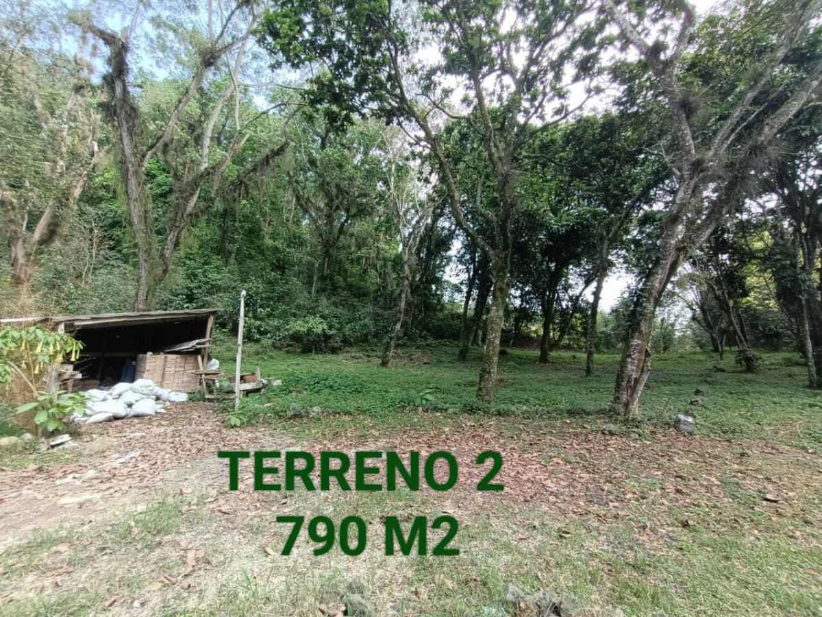 Terreno en venta en Briones, Coatepec — foto 1 de 8