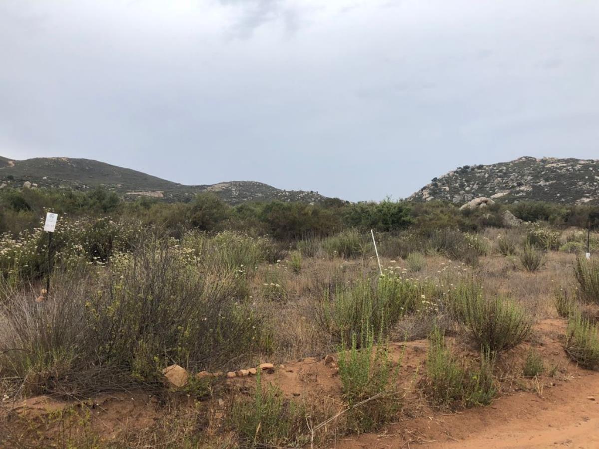 Terreno en venta en Encinal, Tecate — foto 1 de 3
