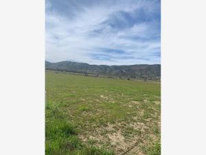 Terreno en venta en Francisco Zarco (Valle de Guadalupe), Ensenada — foto 2 de 4