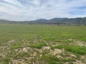 Terreno en venta en Francisco Zarco (Valle de Guadalupe), Ensenada — foto 3 de 4