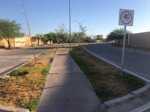 Terreno en venta en Los Viñedos, Torreón — foto 3 de 8