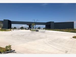 Nave en renta en Sor Juana Ines de la Cruz, Toluca — foto 3 de 3
