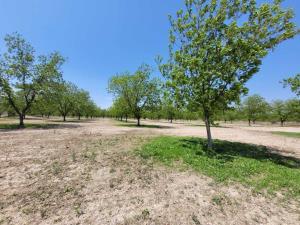 Terreno en venta en El Toreo, Saltillo — foto 3 de 12