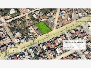 Terreno en venta en Ejido Ruiz Cortines, Ensenada, Baja California Terreno en venta en Ejido Ruiz Cortines, Ensenada, Baja California