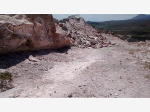 Terreno en venta en Mapimí, Mapimí — foto 3 de 10