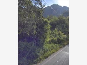 Terreno en venta en La Cañada, Ocuilán — foto 3 de 4