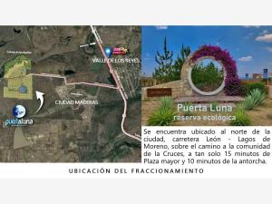 Terreno en venta en Lagos de Moreno Centro, Lagos de Moreno — foto 2 de 6
