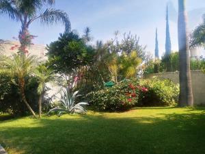Casa en venta en Otilio Montaño, Cuautla — foto 3 de 16