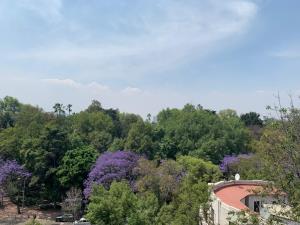 Departamento en venta en Condesa, Cuauhtémoc — foto 3 de 24
