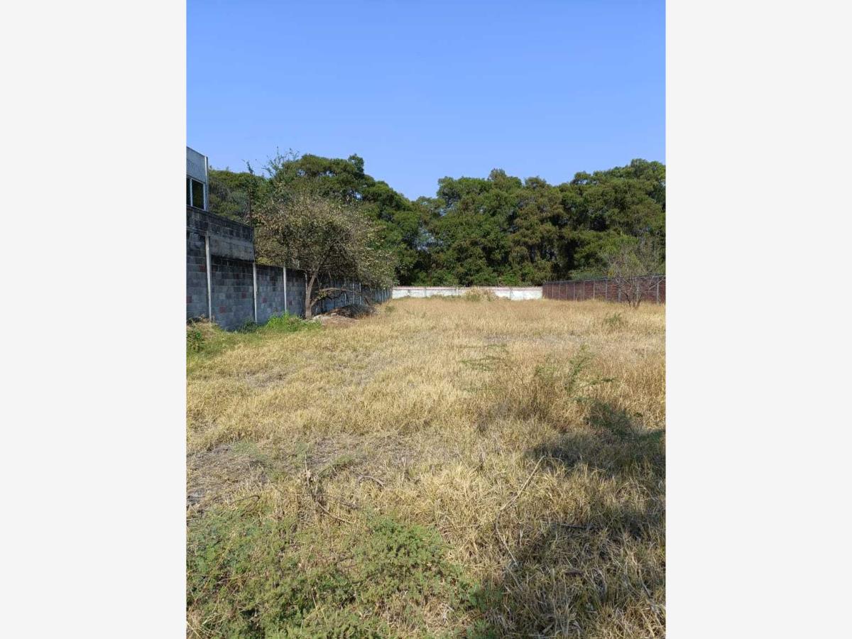 Terreno en venta en Cliserio Alanís (San Gaspar), Jiutepec — foto 1 de 2
