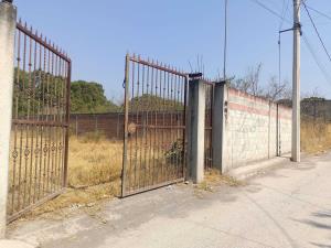 Terreno en venta en Cliserio Alanís (San Gaspar), Jiutepec — foto 2 de 2