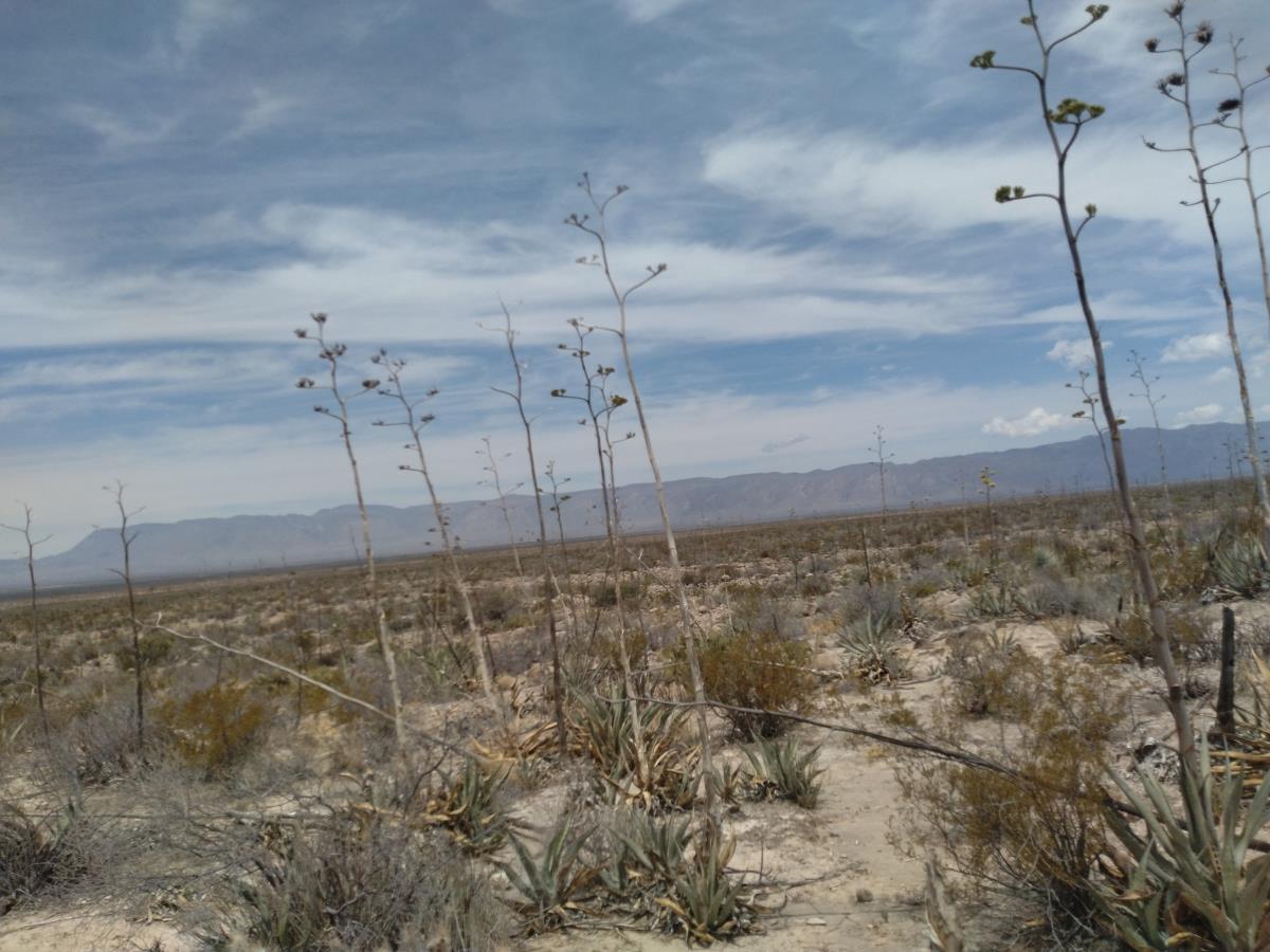Finca-Rancho en venta en Santa Teresa de Sofía, Cuatro Ciénegas — foto 1 de 4