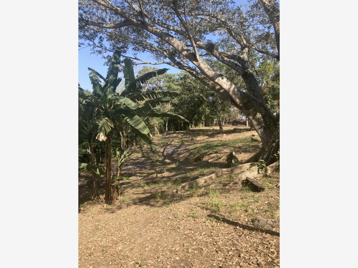 Terreno en venta en El Chico, Emiliano Zapata — foto 1 de 11