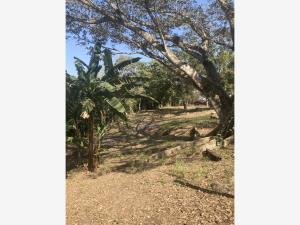 Terreno en venta en El Chico, Emiliano Zapata, Veracruz de Ignacio de la Llave Terreno en venta en El Chico, Emiliano Zapata, Veracruz de Ignacio de la Llave