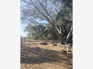 Terreno en venta en El Chico, Emiliano Zapata — foto 2 de 11