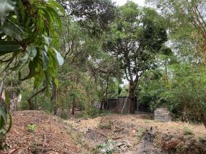 Terreno en venta en El Jobo, Tuxtla Gutiérrez, Chiapas