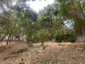 Terreno en venta en El Jobo, Tuxtla Gutiérrez — foto 2 de 5