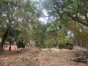 Terreno en venta en El Jobo, Tuxtla Gutiérrez — foto 3 de 5