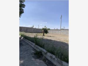 Terreno en venta en La Rosaleda, Saltillo — foto 3 de 4