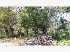 Terreno en venta en La Aguada, Alvarado — foto 2 de 8