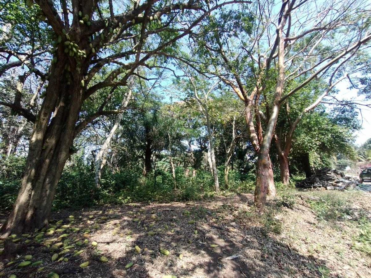 Terreno en venta en La Aguada, Alvarado — foto 1 de 8