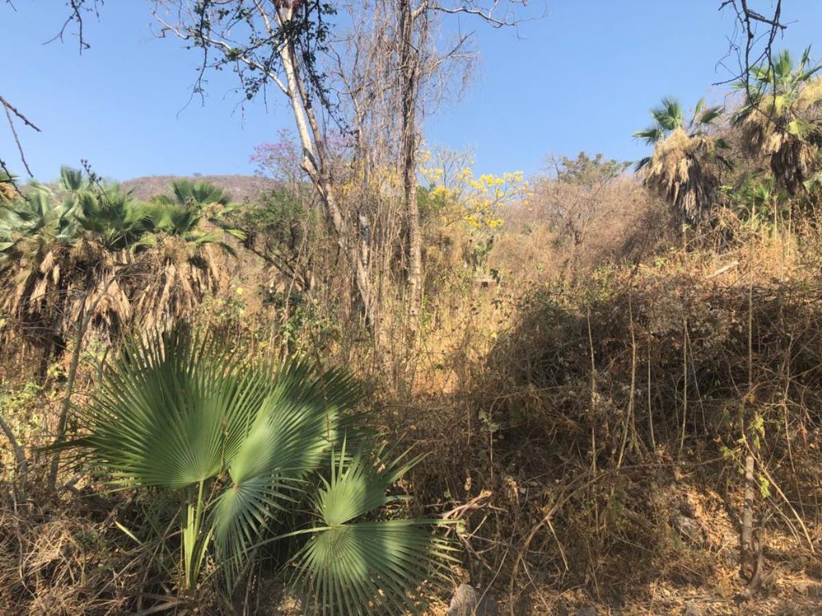 Terreno en venta en Club de Golf Hacienda San Gaspar, Jiutepec — foto 1 de 4
