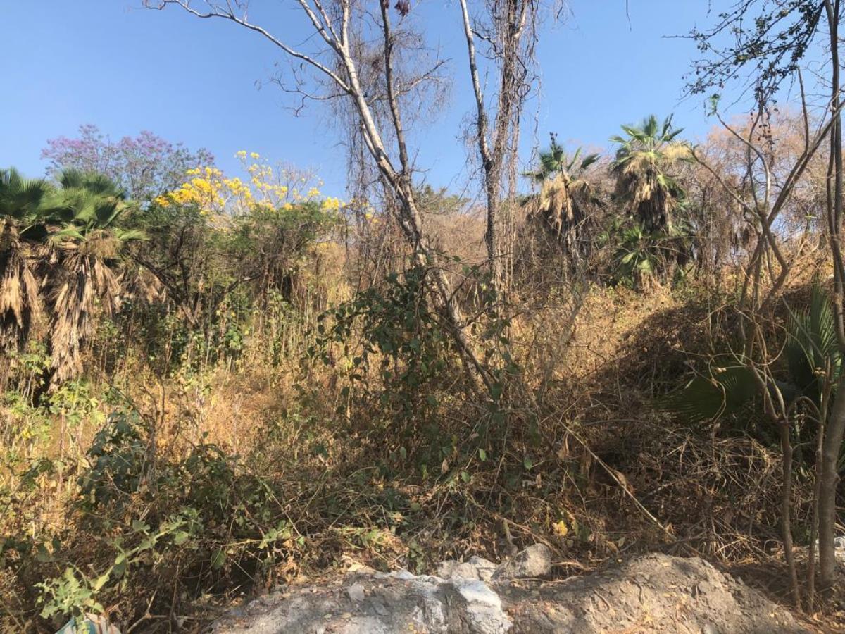 Terreno en venta en Club de Golf Hacienda San Gaspar, Jiutepec — foto 1 de 4