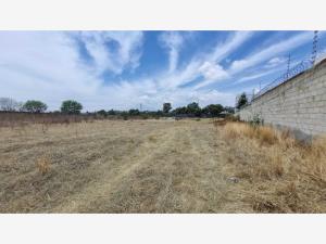 Terreno en renta en San Francisco Acatepec, San Andrés Cholula — foto 2 de 3