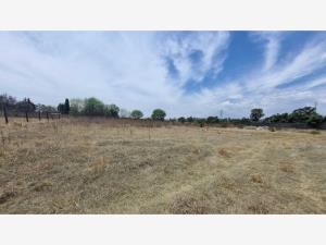 Terreno en renta en San Francisco Acatepec, San Andrés Cholula — foto 3 de 3